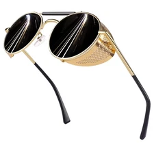 Retro Round Polarized Steampunk Sunglasses Men Women Circle Side Shield Goggl...
