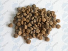 Premium Red Bottom Feeder Tablets Food for Tropical Aquarium Fish 1 x 50g Bag
