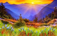 Landscape nature flowers plants mountains Custom Gaming Mat Desk