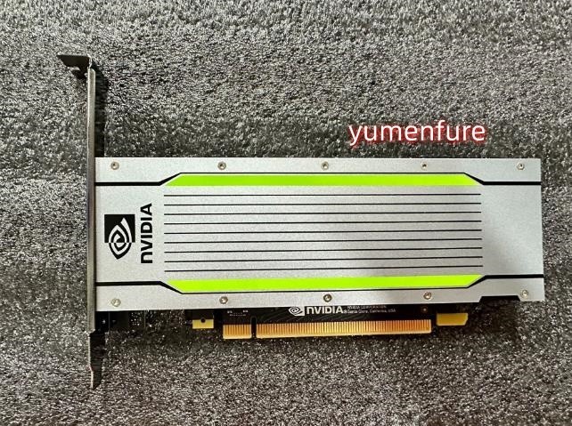 NVIDIA Tesla T4 graphics card 16GB for AI GPU acceleration computing