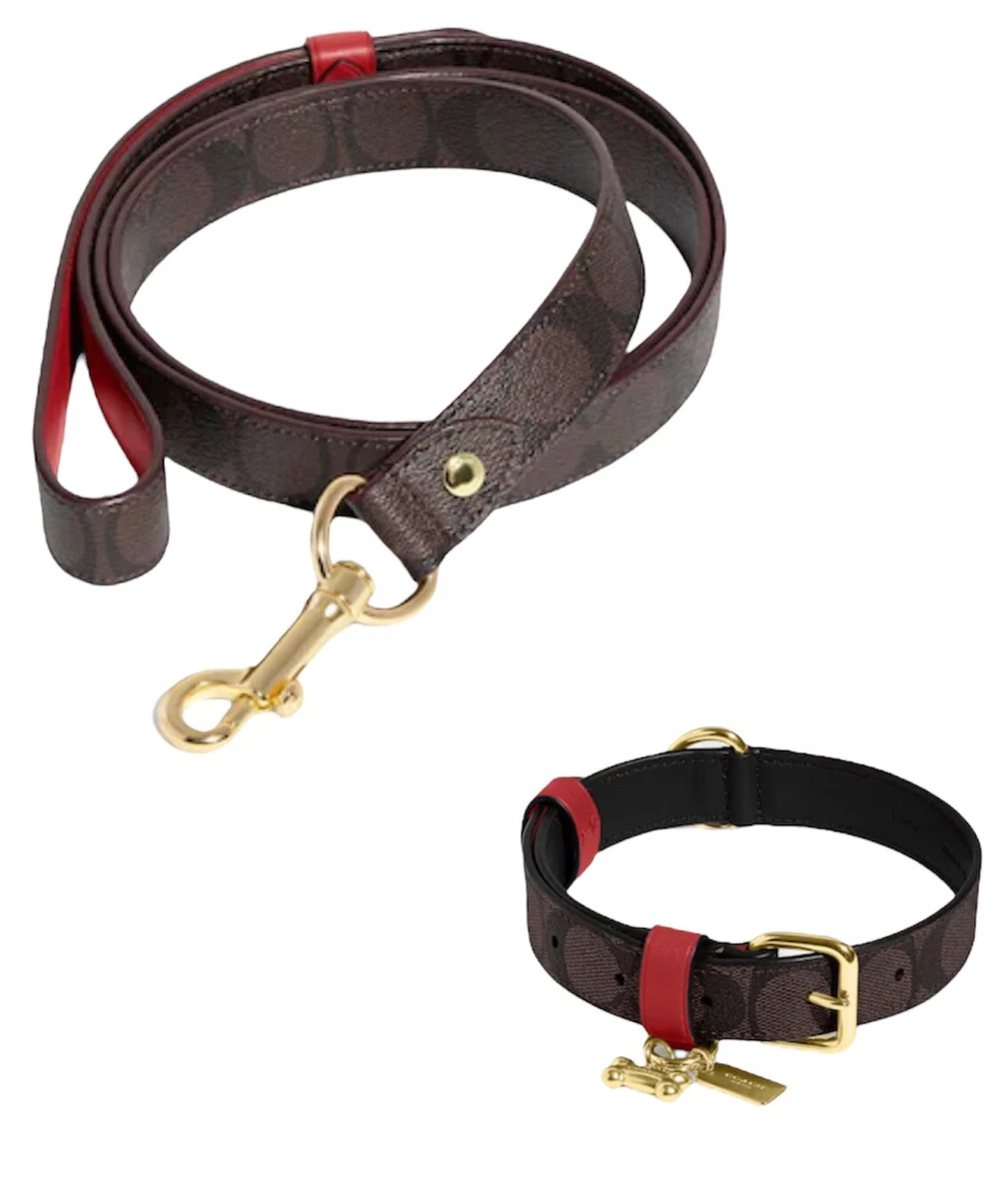 Large Pet Collar & Leash Set