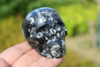 2.6'' Natural Shell stone Carved skull Reiki Crystal decor Crystal Heal gift 1pc