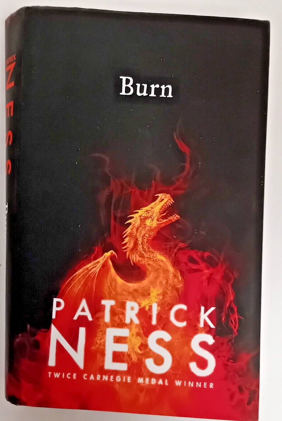 Burn by Patrick Ness (Hardcover, 2020)