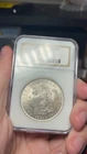 1921 Morgan Dollar NGC MS65