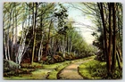 Postcard MA Leominster Exchange Street Posted 1909 Divided Back Vintage PC M9676