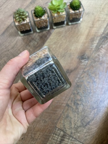 Set Of 5 Faux Succulents In Square Glass Vases Small - Picture 4 of 19