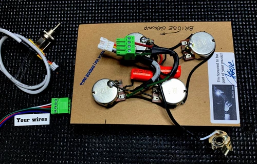 Solderless Les Paul Special DC Wiring Harness - Long Shaft Pots/Short Switch!