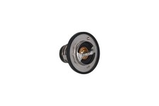 Thermostat Hyundai XG