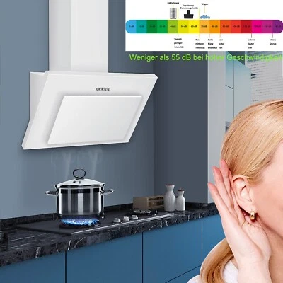 TOPSTRONG Campana extractora 60 cm sin cabeza campana extractora aire de recirculación campana inclinada blanca