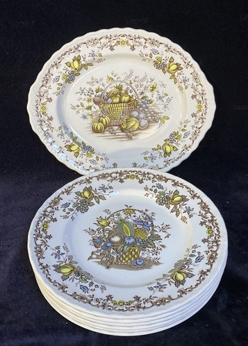 6x Speiselteller + Platte Royal Tudor Stoke-on-Frent England Fruits & Flowers
