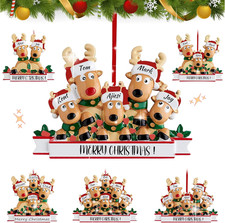 Personalized Reindeer Christmas Ornaments, Family of 5, DIY Family Holiday Fun