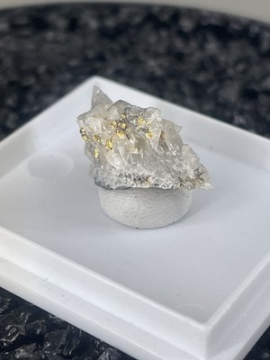 Gold Stufe auf Quarz / Italien / Valle d'Aosta / Brusson
