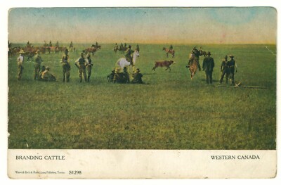 Branding Rinder Western Canada S1298 Postkarte Warwick & Rutter Toronto um 1912