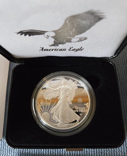 2025 American Eagle 1 oz Silver Proof Coin – Laser Engraved US Mint 25EALE - ASE