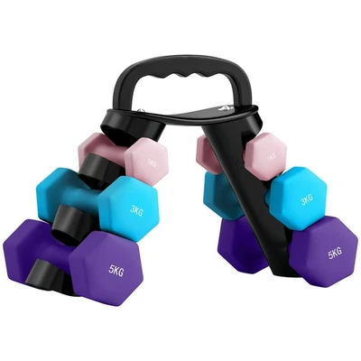 SPORTNOW Dumbbells Set with Storage Rack, 12kg/18kg, Pink