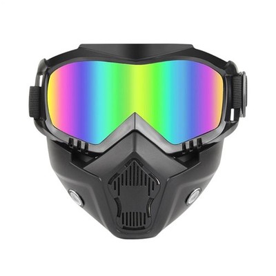 Detachable Full Face Goggle Mask Adult, Anti Fog Windproof Impact Resistant Shie
