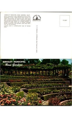 Berkeley Rose Garden CA Postcard Golden Gate View C11997 Mike Roberts