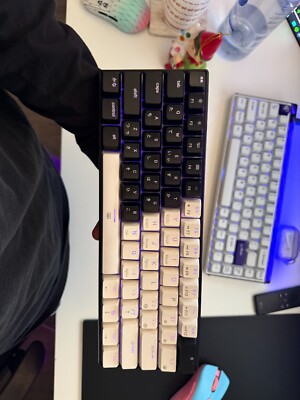 Royal kludge gaming keyboard rk61 (Black Oil kings Switches)