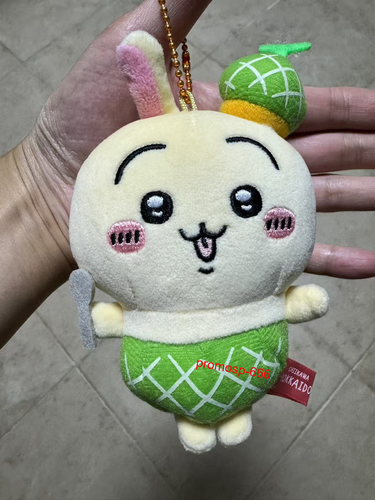 Chiikawa Usagi Hami Melone Serie Plüsch Puppe Anhänger Rucksack Deko 10 cm - Bild 8 von 13