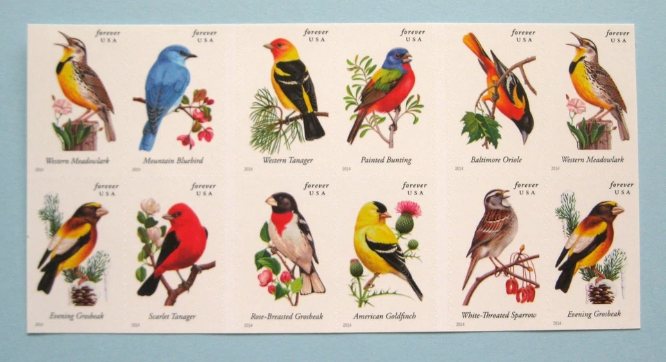 Sc # 4882-4891 ~ Booklet Pane of 20 ~ Forever Issue, Songbirds - Image 2 of 2