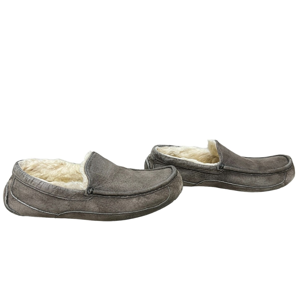 UGG Ascot Men display picture 2