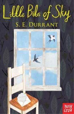 Little Bits of Sky, S. E. Durrant, Used; Very Good Book