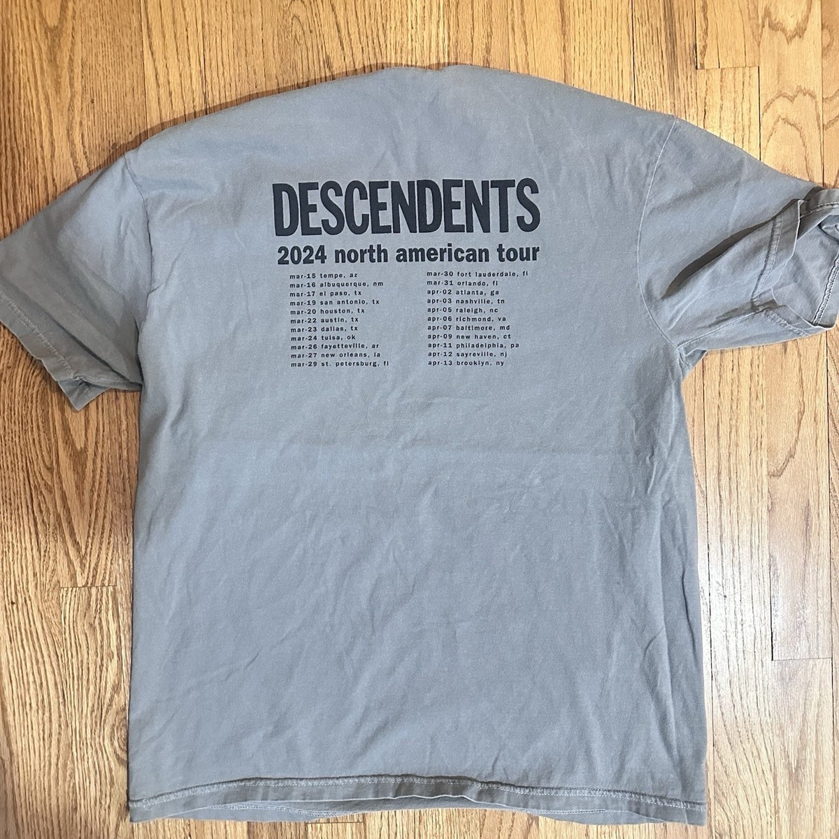 DESCENDENTS Circle Jerks 2024ツアーTシャツ　L 2024 Fall Tour T-Shirt (Black) – Descendents Store