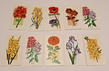 Craven A Black Cat - Flowers All Ther Year Round - 10 x  Cigarette Cards 