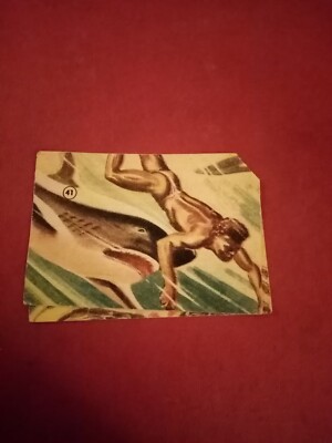 El84 Marvels of the Great Barrier Reef Weetbix Sanatorium Karte Nr 41