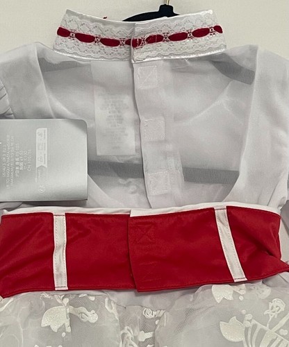NWT DISNEY DRESS or COSTUME- White Lace High Neck & Red Ribbons- Girl's SIZE 3+ - Picture 15 of 23