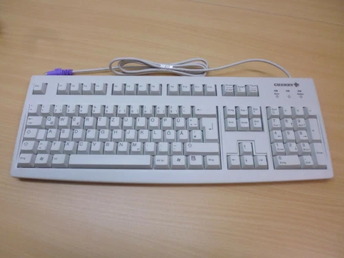 Cherry Tastatur / G83-6105LRPDE-0 / hellgrau / Nagelneu ! und OVP