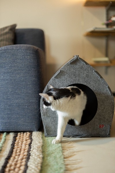 VIP ! La casa del gato. Cat's house. Katzenhaus