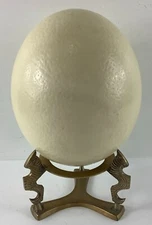 Empty Blown Out Real Ostrich Egg Empty Shell 6" L X 5" D