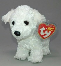 white dog beanie baby