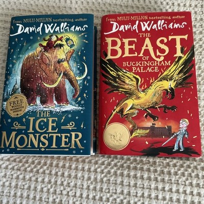 2 Used David Walliams Books  good condition haven t been read 