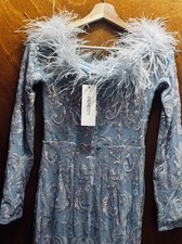 Faeresty Feathered Sequin Gown