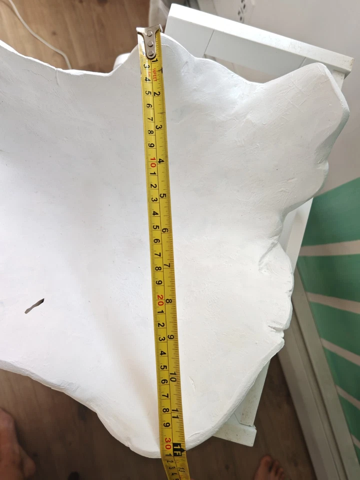 Cuenco de madera decorativo tallado a mano — 20"x12", diseño orgánico único Foto 3 de 4