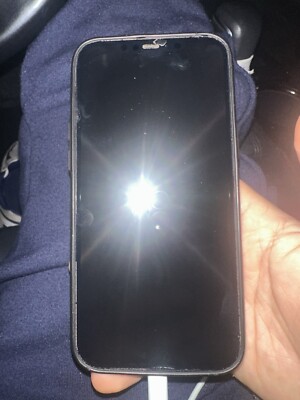 12 Pro Max Tiktok With It Works Perfect Fine
