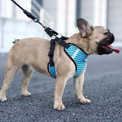 vest leash