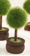 Beautiful Topiary Tree Place Card Holders |Wedding Favours |Table Decor|Event