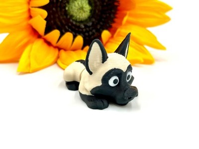 Belgian Malinois, Flexi Dog - Fidget Toy Set- Cute Gift Idea