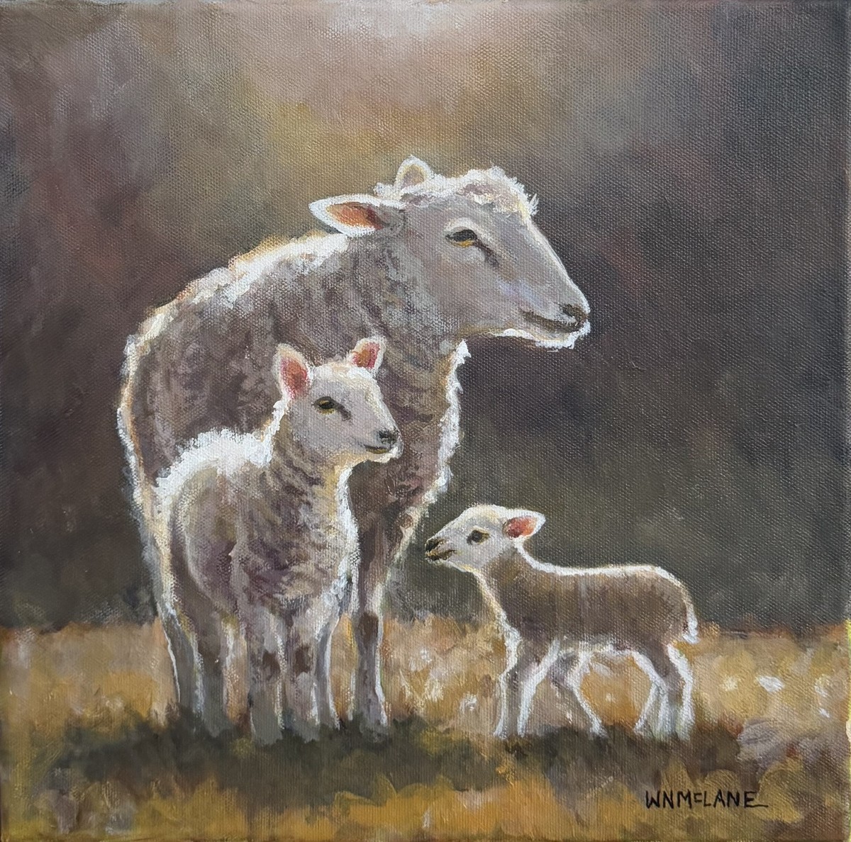 Original New Barnyard Acrylic Impressionist Realist Sheep Ewes