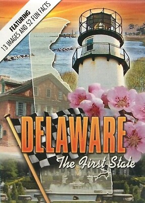 Delaware with Lighthouse Souvenir Playing Cards