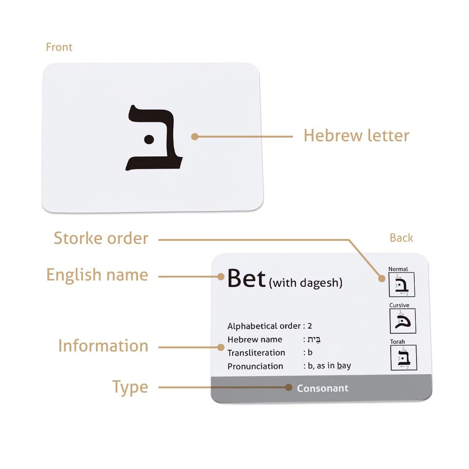 Biblical Hebrew Alphabet (Consonant, Vowel, Dagesh and Final form) - Image 3 of 4
