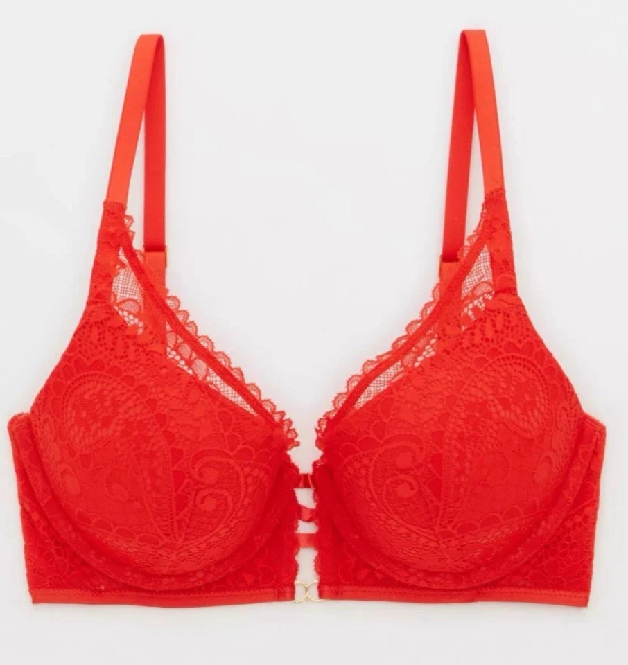 AERIE REAL POWER PLUNGE PUSH UP PAISLEY ENCAJE SUJETADOR ROJO TALLA 32B NUEVO CON ETIQUETAS Foto 3 de 4