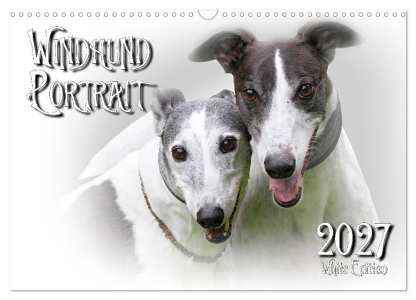Calendar 2027 · US Version · Windhund Portrait 2027 White Edition (Wall Calendar-image