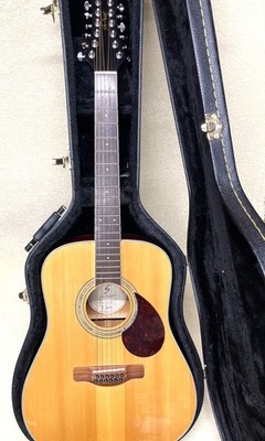 Samich Greg Bennett D-5-12 string Acoustic Guitar EXCELLENT WITH HARDCASE!