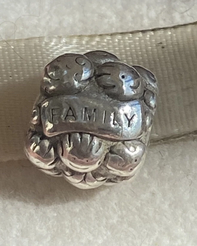 Pandora family shop love charm