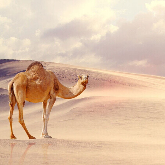 توجد عروض جميلة جدا للجميع