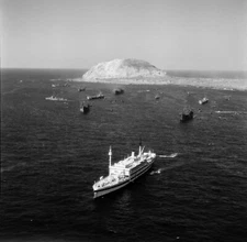 WW2 WWII Photo World War Two / Aerial Photo of Iwo Jima During Invasion USMC